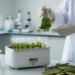 Solvent Ratio, Not Time, Drives Phenolic Recovery from Cassava Leaves in Optimized Ultrasound Extraction