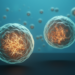 Monocytes, Not T Cells, Show Strongest Gene Disruption in Multiple Sclerosis