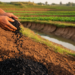 Biochar’s erosion-control co-benefits valued at up to €25 per hectare yearly