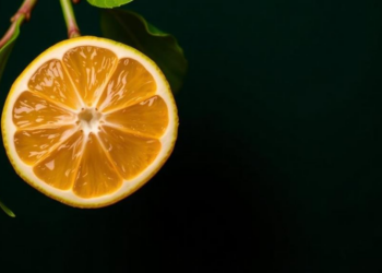 Master Switch Found: How a Single Gene Triggers Bitter Compounds in Citrus