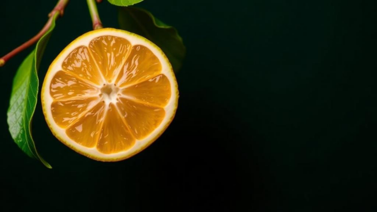 Master Switch Found: How a Single Gene Triggers Bitter Compounds in Citrus