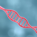 X chromosome study reveals new genetic links to dietary intake
