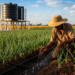 Survey Tracks What Drives Kenyan Onion Farmers’ Use of Climate-Resilient Irrigation
