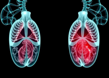 Two Hours of Training Sharpen Residents’ Organ Contouring Skills in the AI Era