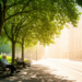 Urban Greenery Cools Cities and May Protect Aging Minds, Review Finds