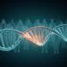 Large Genetic Study Maps DMD Variant Spectrum in Nearly 1,000 Patients