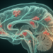 Oligodendroglial Alpha-Synuclein Rewires Midbrain Gene Programs Before Nigral Cell Loss in Mouse Model of MSA