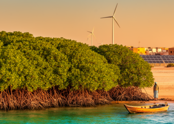 Conceptual Framework Links Mangrove Protection to Water, Energy and Food Planning in Hamata, Egypt