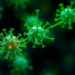 Kale Nanovesicles Boost Cancer Drug’s Kill Switch in Liver Tumor Cells