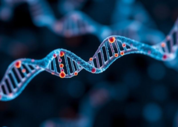 AI Model Reads RNA Sequences to Predict Where They Work Inside Cells