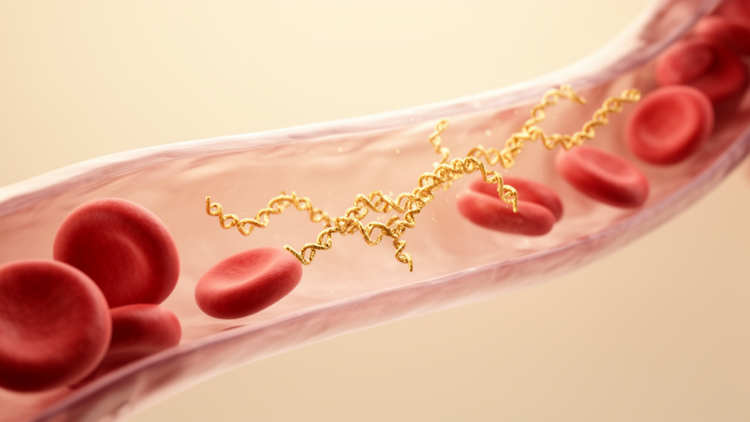 Collagen peptides from food waste show real blood pressure-lowering potential