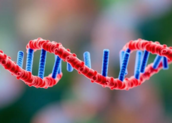 An RNA Eraser Gone Rogue: ALKBH5 Emerges as a Molecular Driver of Preeclampsia