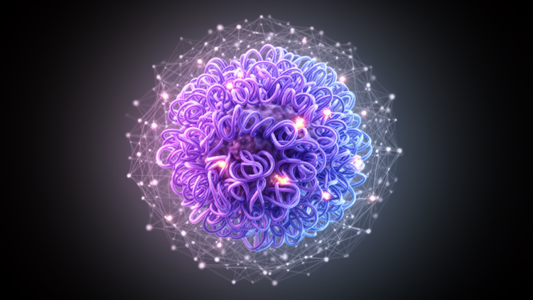 Deep learning model predicts multiple chromatin interaction types from DNA sequence