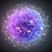 Deep learning model predicts multiple chromatin interaction types from DNA sequence