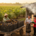 Customary Institutions Shape Whether Agricultural Downstreaming Works in South Sumatra