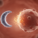 Toxoplasma Parasite Disrupts a Protective Macrophage Signal in Pregnancy