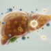 Single-cell map reveals how EV-derived miRNAs shape the liver cancer microenvironment