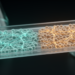 Adult ADHD-linked PARK2 variants subtly reshape lab-grown blood-brain barrier cells