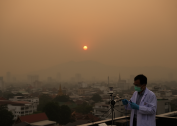 Brown Carbon Drove Shortwave Light Absorption in Chiang Mai’s 2024 El Niño Haze