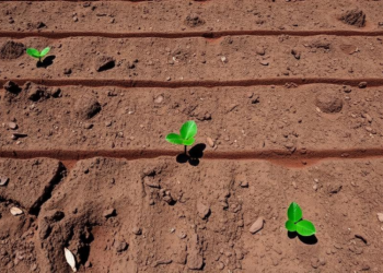 Soil Health, Not Single Species, Rewrites Metal Risk Maps in Tianjin