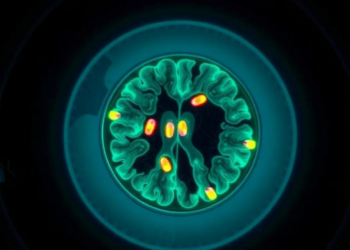 MRI Spectroscopy Could Let Doctors Watch Chemotherapy Work Inside Tumors in Real Time