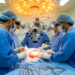 Meningiomas Dominate a Decade of Brain Surgery in Upper Egypt