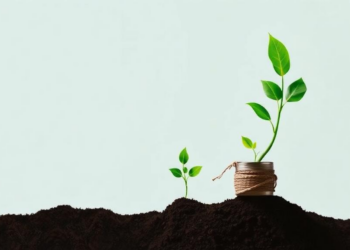 Going Green Drains the Cash Register: Sustainability Reshapes Corporate Liquidity in BRICS