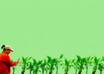 Green Strategy Meets Digital Tech: How Vietnamese Factories Turn Sustainability Into Performance