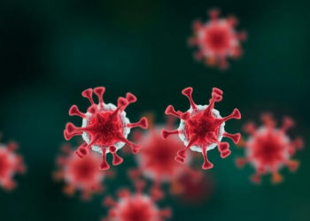 Camouflaged Nanoparticles Could Rewrite the Rules of Cancer Vaccines