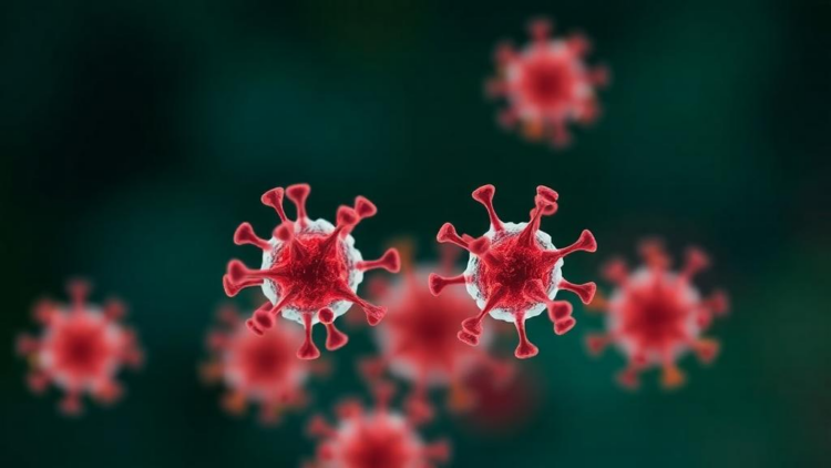 Camouflaged Nanoparticles Could Rewrite the Rules of Cancer Vaccines