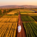 Ethiopia’s Cluster Farming Reviewed: Five Forces Shaping Smallholder Transformation