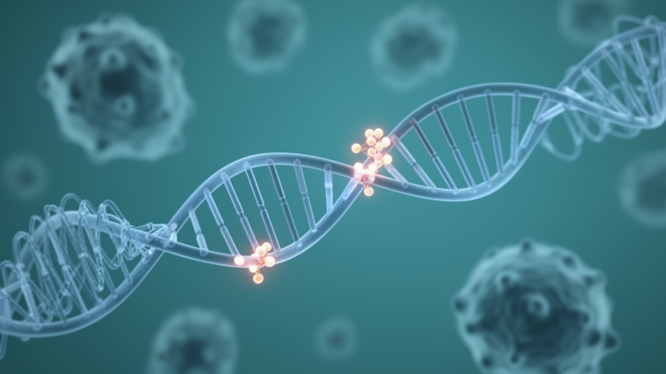 DNA Methylation of Two Long Non-Coding RNA Loci Tracks Metastatic Disease in Kidney Cancer