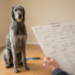Family Trees of Irish Wolfhounds Reveal Few Ancestors and Hidden Inbreeding