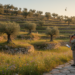 New framework makes biodiversity visible through cultural heritage landscapes