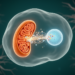 Mitochondria and lysosomes talk to each other, and sepsis may break that conversation
