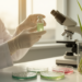 Switchgrass microbe’s extracts show selective growth-stopping activity against tumor cells