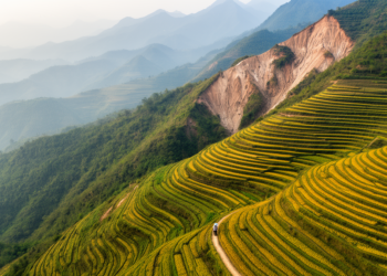 Cropland is climbing slopes in China, with losses that remediation cannot undo