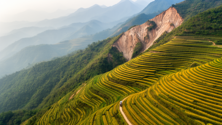 Cropland is climbing slopes in China, with losses that remediation cannot undo