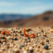 Tiny Soil Worms Rewrite the Rules of Life on Arid Mountains