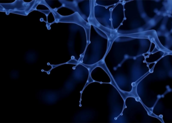 Rare Bartholin Gland Cancer Case Highlights Diagnostic Delay and MYB Testing Limits