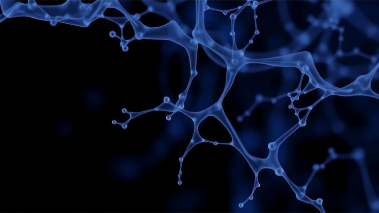 Rare Bartholin Gland Cancer Case Highlights Diagnostic Delay and MYB Testing Limits