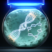 Blue light disrupts DNA repair in skin cells through an ITGB3–PI3K/AKT pathway, study finds