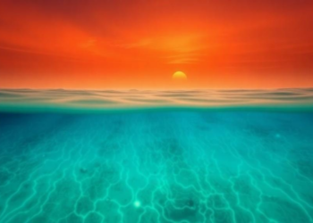 Hidden Ocean Heat: Lakshadweep Sea Heatwaves Strike Hardest Below the Surface