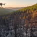 Burn severity maps miss real forest structural loss after Oregon fire