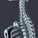 Binary ‘Skeletal Failure’ Rule Proposed to Make AI Vertebral Fracture Screening Trustworthy