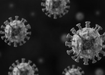 Portland State virologists win $1 million NSF grant to trace crucivirus evolution
