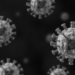 Portland State virologists win $1 million NSF grant to trace crucivirus evolution