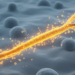 Fluorocellobiose PET tracer shows strongest signal in live Aspergillus fumigatus infection