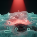 Chitosan-Porphyrin Composites Show Light-Activated Killing of Drug-Resistant Bacteria