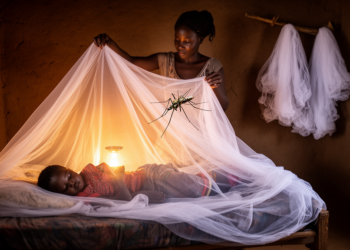 Africa’s insecticide-treated bednet coverage has stalled, 19-year analysis finds